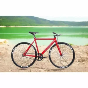 Random Color TSUNAMI RAGUSA APEX Fixie Bike
